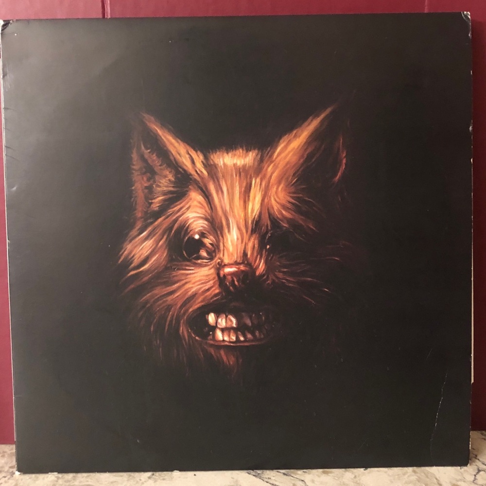 The Seer by Swans (Vinyl, 2012) Used Original Owner 3XLP